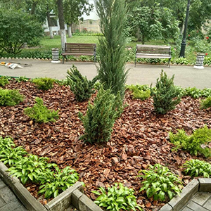 Хвойная мульча в Воронеже купить - оперативная доставка по всей России