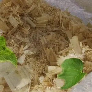 Лиственные опилки оптом в Воронеже от завода-производителя Лигнум Ресурс