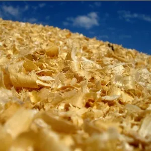 Опилки оптом в Воронеже купить - оперативная доставка по всей России
